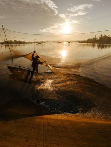 开云(中国)Kaiyun·体育官方网站-登录入口