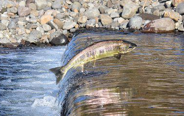 开云(中国)Kaiyun·体育官方网站-登录入口