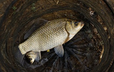 开云(中国)Kaiyun·体育官方网站-登录入口