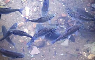 开云(中国)Kaiyun·体育官方网站-登录入口