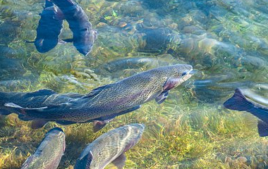 开云(中国)Kaiyun·体育官方网站-登录入口