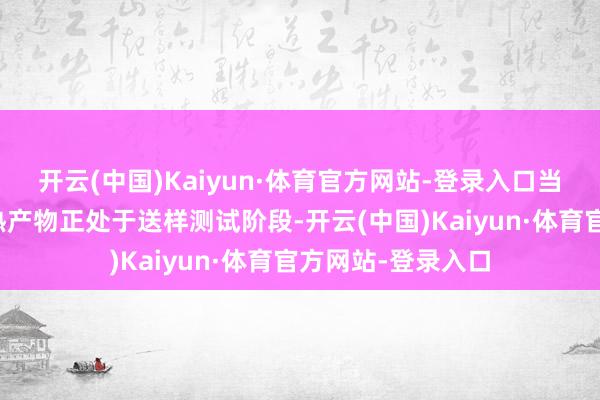 开云(中国)Kaiyun·体育官方网站-登录入口当今公司的液