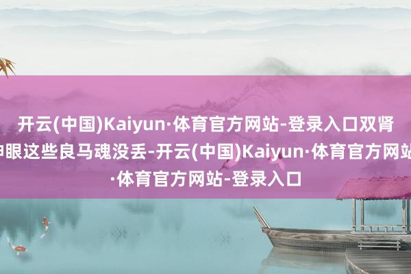 开云(中国)Kaiyun·体育官方网站-登录入口双肾格栅、天神眼这些良马魂没丢-开云(中国)Kaiyun·体育官方网站-登录入口