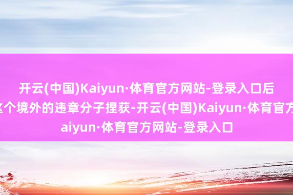 开云(中国)Kaiyun·体育官方网站-登录入口后生男主团队把这个境外的违章分子捏获-开云(中国)Kaiyun·体育官方网站-登录入口