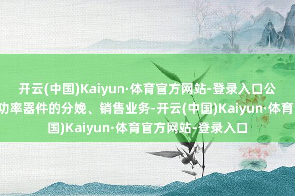 开云(中国)Kaiyun·体育官方网站-登录入口公司主要从事