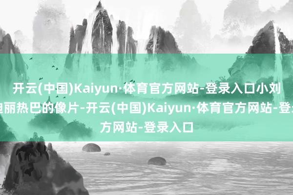 开云(中国)Kaiyun·体育官方网站-登录入口小刘拿着迪丽
