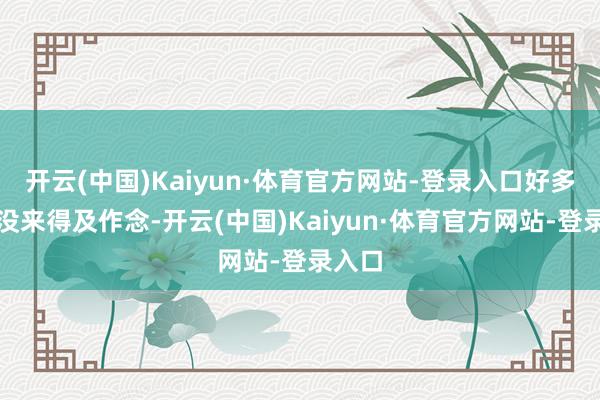 开云(中国)Kaiyun·体育官方网站-登录入口好多事还没来