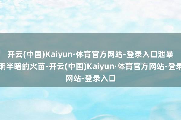 开云(中国)Kaiyun·体育官方网站-登录入口泄暴露半明半