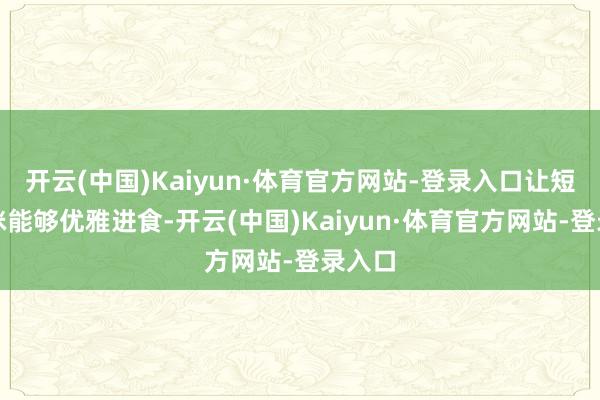 开云(中国)Kaiyun·体育官方网站-登录入口让短腿猫咪能够优雅进食-开云(中国)Kaiyun·体育官方网站-登录入口