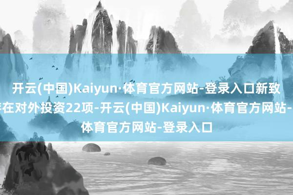 开云(中国)Kaiyun·体育官方网站-登录入口新致软件共存在对外投资22项-开云(中国)Kaiyun·体育官方网站-登录入口
