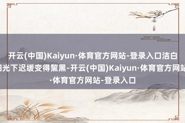 开云(中国)Kaiyun·体育官方网站-登录入口洁白的皮肤在