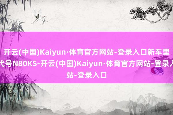 开云(中国)Kaiyun·体育官方网站-登录入口新车里面代号