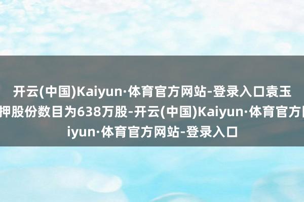 开云(中国)Kaiyun·体育官方网站-登录入口袁玉宇先生累