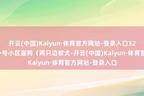 开云(中国)Kaiyun·体育官方网站-登录入口32岁）录用在天麓一号小区遛狗（两只边牧犬-开云(中国)Kaiyun·体育官方网站-登录入口