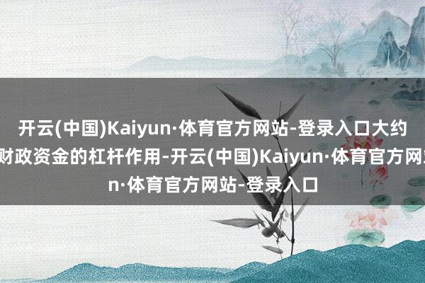 开云(中国)Kaiyun·体育官方网站-登录入口大约更好地进展财政资金的杠杆作用-开云(中国)Kaiyun·体育官方网站-登录入口