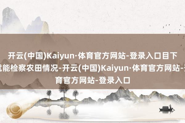 开云(中国)Kaiyun·体育官方网站-登录入口目下用手机就能检察农田情况-开云(中国)Kaiyun·体育官方网站-登录入口