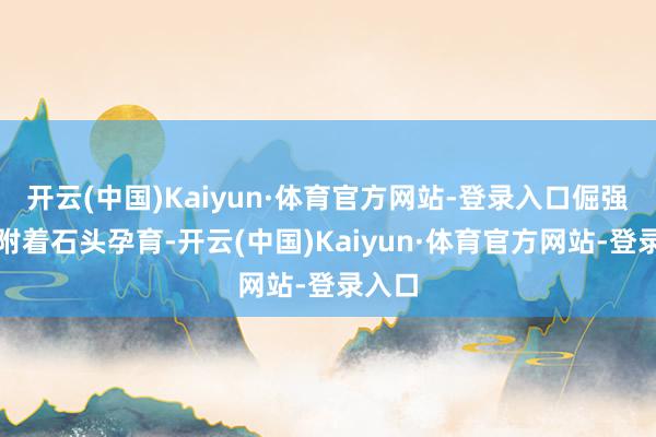 开云(中国)Kaiyun·体育官方网站-登录入口倔强地依附着石头孕育-开云(中国)Kaiyun·体育官方网站-登录入口