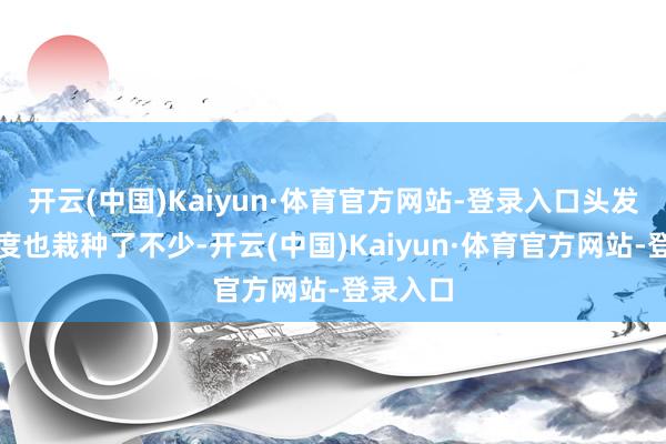 开云(中国)Kaiyun·体育官方网站-登录入口头发的光芒度也栽种了不少-开云(中国)Kaiyun·体育官方网站-登录入口