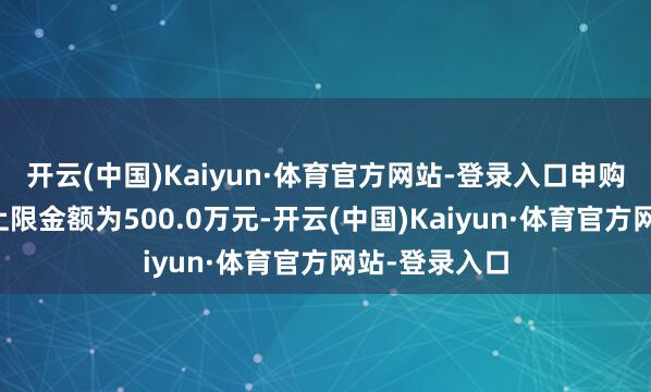 开云(中国)Kaiyun·体育官方网站-登录入口申购、调度转入上限金额为500.0万元-开云(中国)Kaiyun·体育官方网站-登录入口