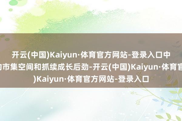 开云(中国)Kaiyun·体育官方网站-登录入口中永恒仍然有较大的市集空间和抓续成长后劲-开云(中国)Kaiyun·体育官方网站-登录入口