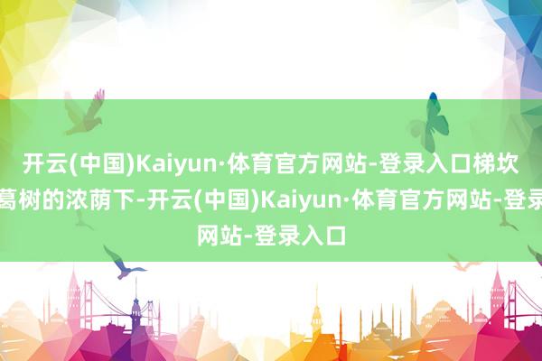 开云(中国)Kaiyun·体育官方网站-登录入口梯坎旁黄葛树的浓荫下-开云(中国)Kaiyun·体育官方网站-登录入口
